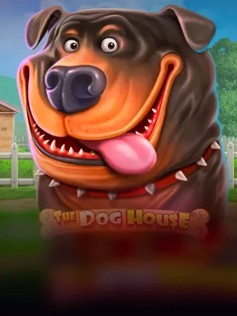 The Dog House